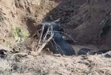 बलौदाबाजार में कुएं में गिरे 4 हाथी सुरक्षित निकाले गए