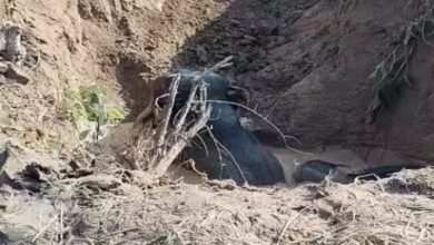 बलौदाबाजार में कुएं में गिरे 4 हाथी सुरक्षित निकाले गए