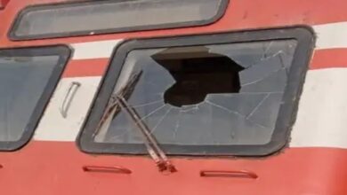 अनंतनाग में ट्रेन से चील टकराने से हादसा, लोको पायलट घायल; शीशा पूरी तरह चकनाचूर