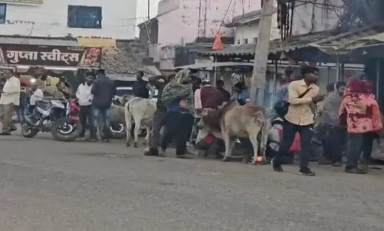 Cold intensifies in Chhattisgarh: Temperature drops to 9 degrees in Pendra, visibility reduced in many areas.