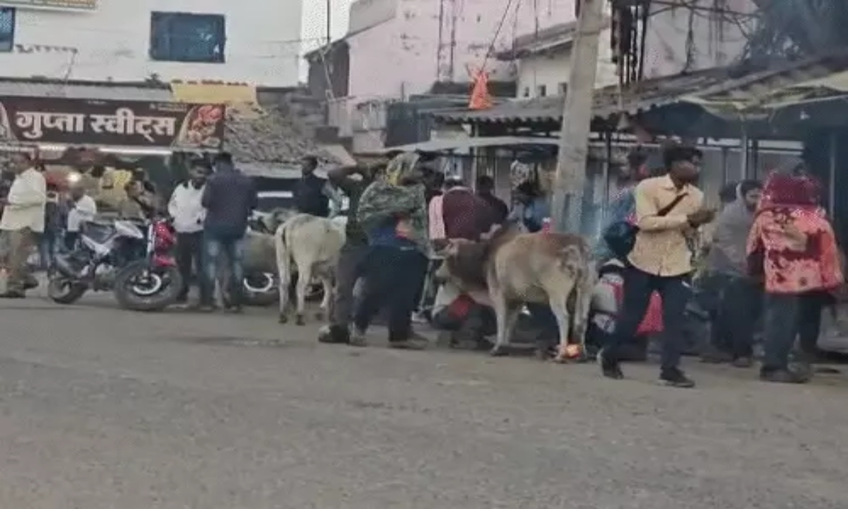 Cold intensifies in Chhattisgarh: Temperature drops to 9 degrees in Pendra, visibility reduced in many areas.