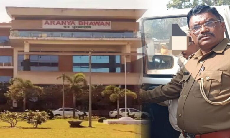 वित्तीय अनियमितता, फर्जी भुगतान और वन्यजीवों की मौत पर लापरवाही; PCCF रायपुर ने भ्रष्ट रेंजर को हटाया, विभाग में हड़कंप