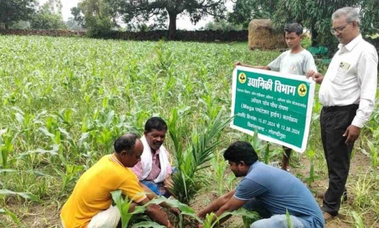From the sound of gunshots to the fragrance of fruits and flowers: A green miracle unfolds in Bastar.