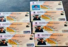 7 voter IDs in the name of the youth