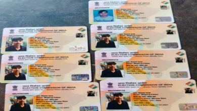 7 voter IDs in the name of the youth