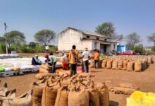 Paddy procurement at support price goes well in Balod district