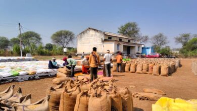 Paddy procurement at support price goes well in Balod district