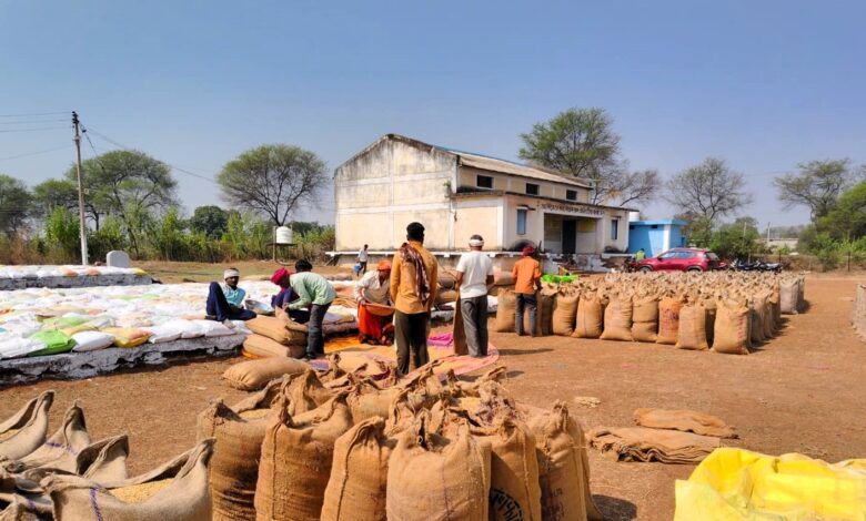 Paddy procurement at support price goes well in Balod district