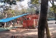 Temple shed demolished, citing encroachment; FIR filed against 16 forest workers; Hindu organizations allege; officer says they are spreading propaganda