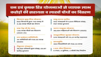 Greenery empowers villagers in Mohla district economically