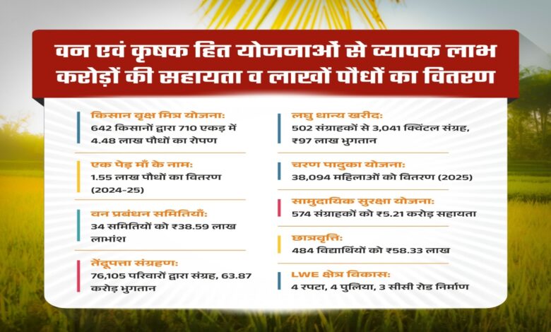 Greenery empowers villagers in Mohla district economically