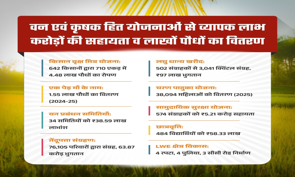 Greenery empowers villagers in Mohla district economically