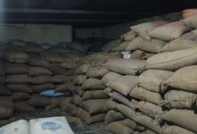 3,266 quintals of illegal paddy worth over Rs 1 crore seized in 30 cases in Raigarh