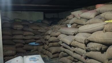 3,266 quintals of illegal paddy worth over Rs 1 crore seized in 30 cases in Raigarh