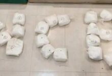 Drugs worth Rs 262 crore seized in Delhi