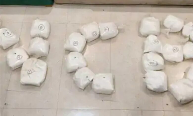 Drugs worth Rs 262 crore seized in Delhi