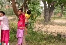 Teachers hang child from tree in Surajpur for not doing homework