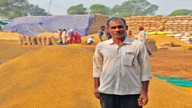 Farmers are relieved by easy paddy procurement