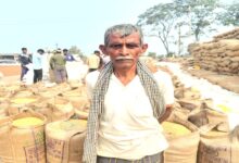 Elderly farmer Munna Singh's dream will be fulfilled by selling paddy
