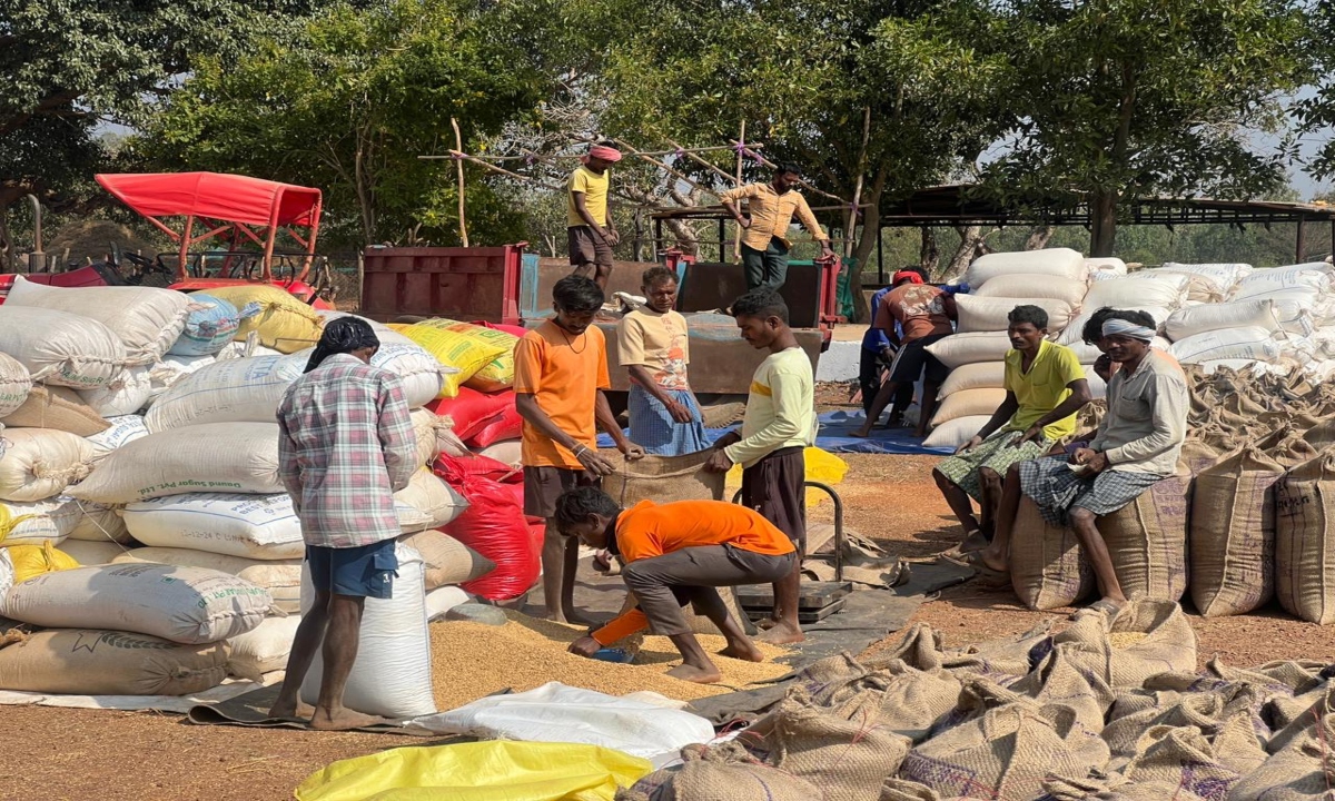 Historical achievements in the agriculture sector of Durg district in the last 25 years