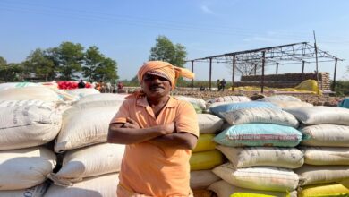The paddy procurement system has increased the confidence of farmers, every facility is available at the Mooli Centre in Bastar