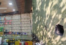 Congress protest sparks uproar over desecration of CM's photo, BJYM surrounds police station; FIR filed against Congress members