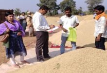 Paddy procurement in Dhamtari is on the rise, farmers are getting prompt payment