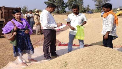 Paddy procurement in Dhamtari is on the rise, farmers are getting prompt payment