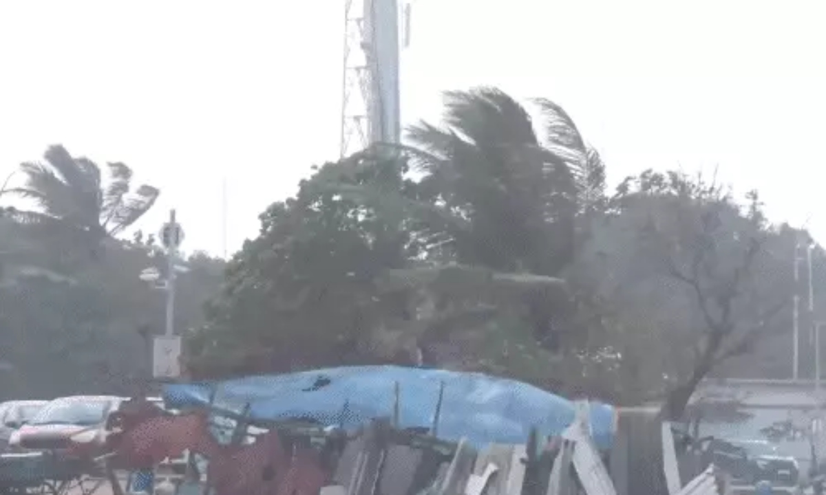 Cyclone Ditwaha to hit Tamil Nadu-Puducherry today