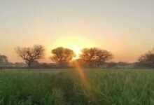 The weather will be dry from today, the mercury will drop by 2 degrees.