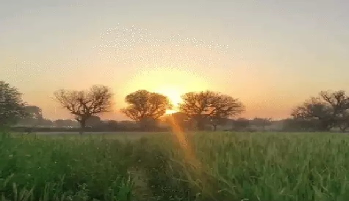 The weather will be dry from today, the mercury will drop by 2 degrees.