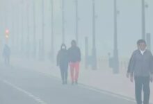 Cold intensifies in Rajasthan and MP, with temperatures dropping below 10 degrees in 16 cities; dense fog in Bihar
