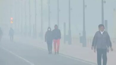 Cold intensifies in Rajasthan and MP, with temperatures dropping below 10 degrees in 16 cities; dense fog in Bihar