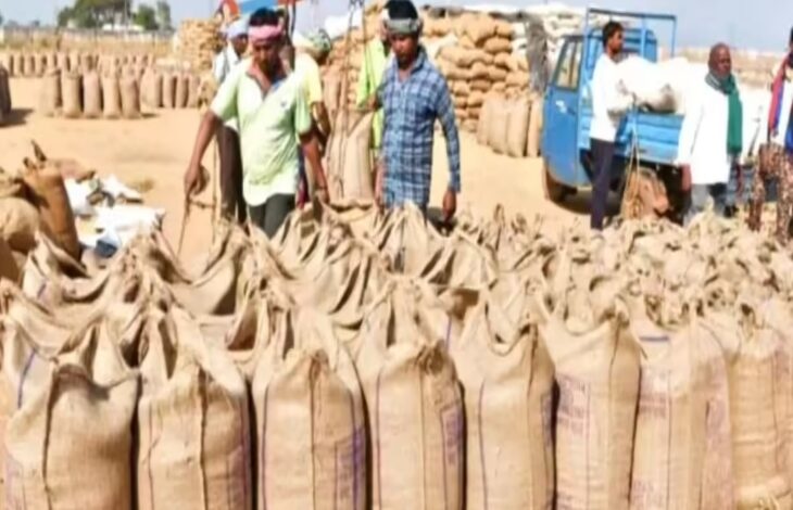 Major pendency in paddy procurement: 11.39 lakh Khasras not entered in the state, worst situation in 10 districts