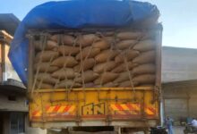 Paddy worth Rs 5 crore seized from smugglers in Chhattisgarh