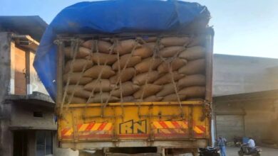 Paddy worth Rs 5 crore seized from smugglers in Chhattisgarh