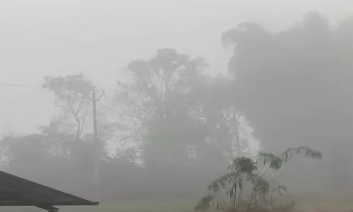 Intense cold wave grips Rajasthan and Uttar Pradesh, Hemkund records -20°C; fog and drop in temperature in several cities.