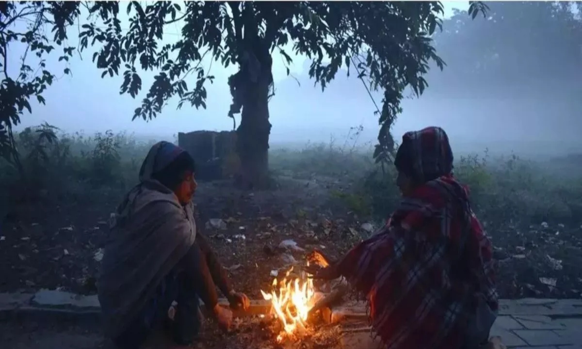Cold wave to continue in Chhattisgarh for 3 more days: Cold wave in Durg and Ambikapur, dense fog alert in Surguja and Bilaspur.