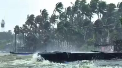 Cyclone Ditvaah weakens, cold to increase