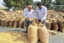 Transparent system makes farmers happy: Nand Kumar expresses gratitude to CM Sai for Rs 3100 support price