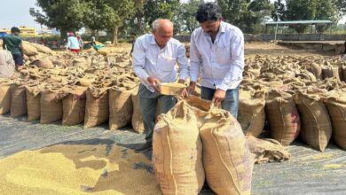 Transparent system makes farmers happy: Nand Kumar expresses gratitude to CM Sai for Rs 3100 support price