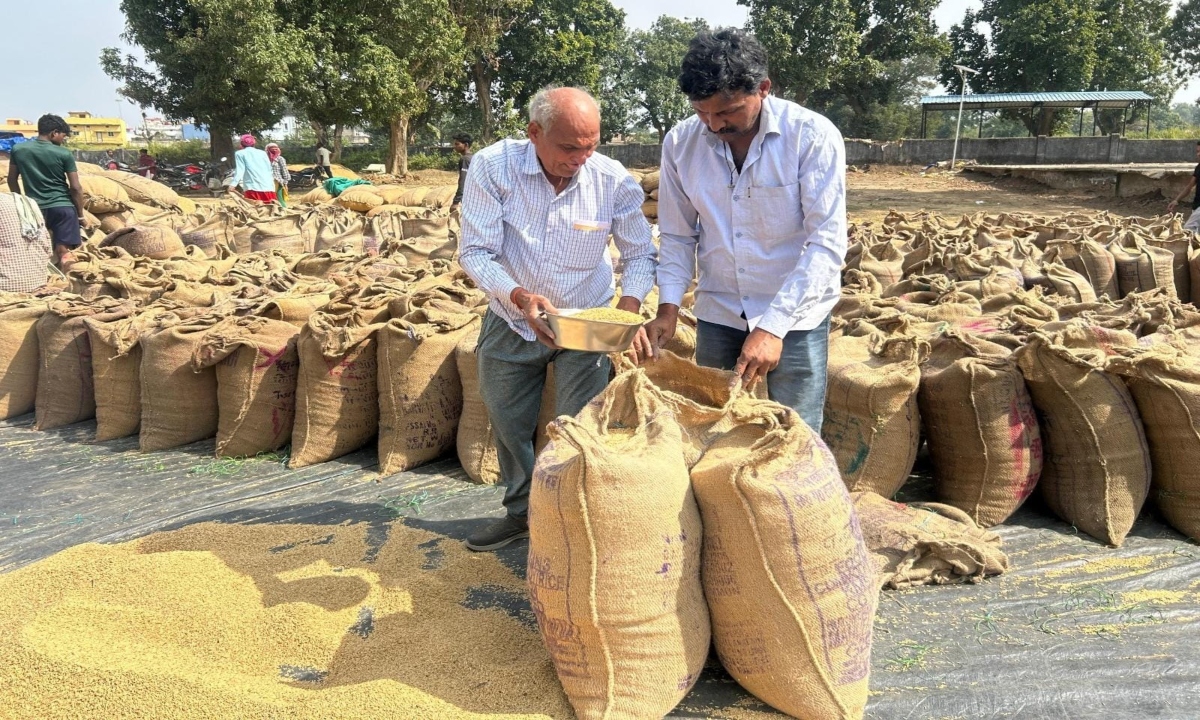Transparent system makes farmers happy: Nand Kumar expresses gratitude to CM Sai for Rs 3100 support price