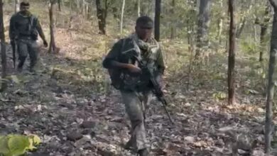 Naxalite encounter in Bijapur: 12 Naxalites killed, 3 soldiers martyred; encounter lasts for hours on Dantewada-Bijapur border