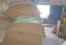 Major action against illegal paddy in Raipur: 42 cases, 1537 quintals seized.