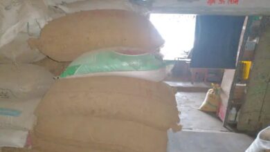 Major action against illegal paddy in Raipur: 42 cases, 1537 quintals seized.