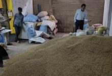 2052 sacks of illegal paddy seized in one day, causing panic among traders and middlemen.