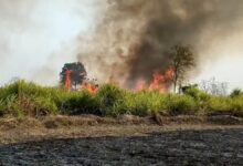 New district presidents assume office in the Congress party.