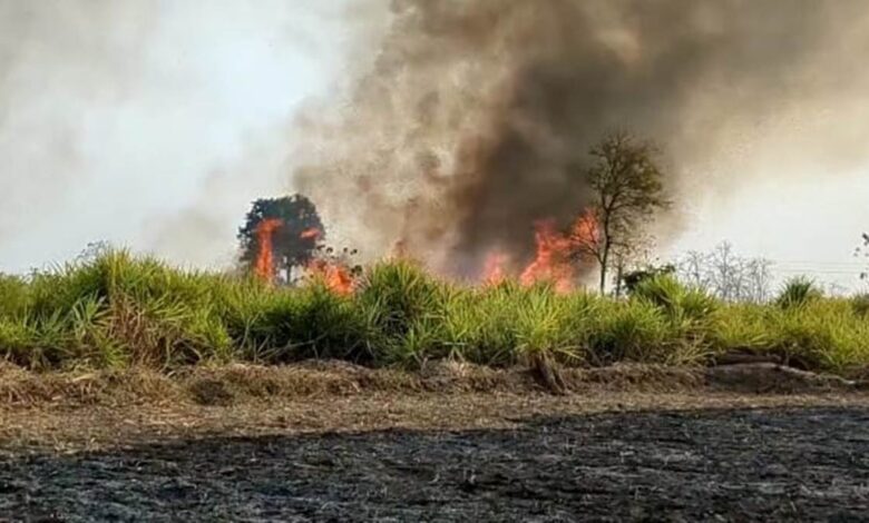 New district presidents assume office in the Congress party.