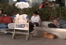 IndiGo crisis: Refunds by 8 pm tonight, show-cause notice to CEO; government in action