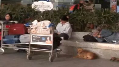 IndiGo crisis: Refunds by 8 pm tonight, show-cause notice to CEO; government in action